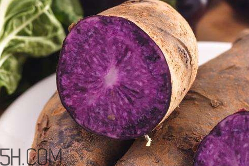 紫土豆和紫薯的区别(紫土豆和紫薯的区别)