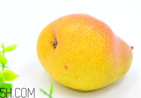 香梨的生长条件(香梨的生长环境) 香梨的生长条件(香梨的生长环境)