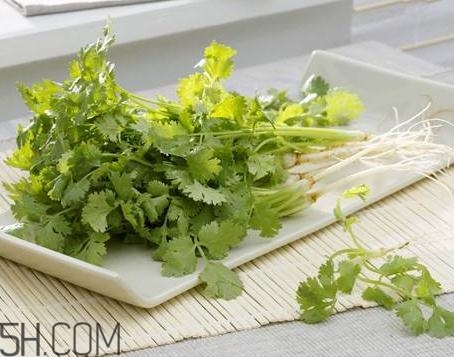香菜根煮水怎么煮(香菜根煮水怎么煮)