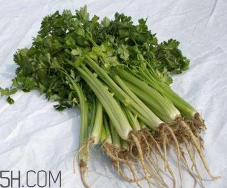 香菜根煮水退烧方法(香菜根怎么煮水退烧) 香菜根煮水退烧方法(香菜根怎么煮水退烧)