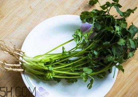 香菜根煮水有哪些作用(香菜根煮水有什么作用) 香菜根煮水有哪些作用(香菜根煮水有什么作用)