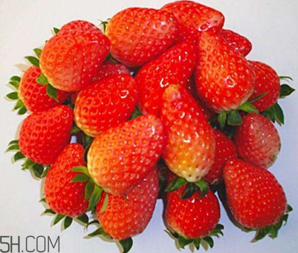 怎么挑选实心草莓(实心草莓和空心草莓) 怎么挑选实心草莓(实心草莓和空心草莓)