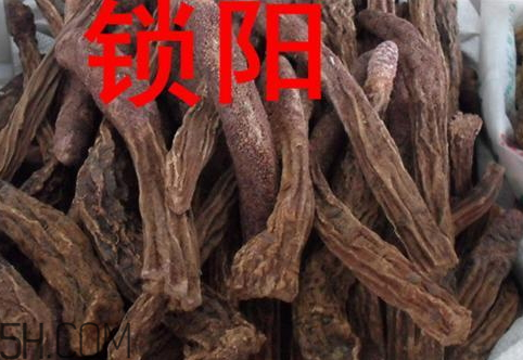 锁阳的食用方法(锁阳的食用方法和用量)