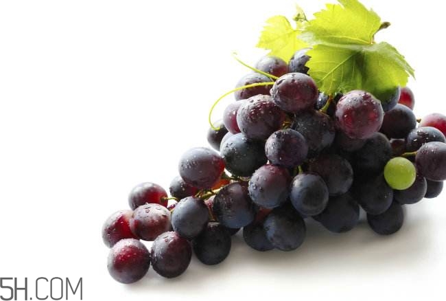 葡萄的清洗方法(葡萄的清洗方法小妙招)