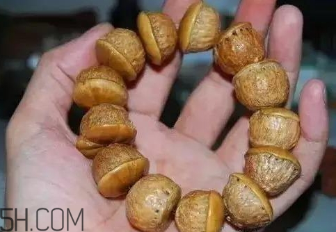 壮阳果和什么泡酒最好(壮阳果枸杞泡酒的功效和作用)