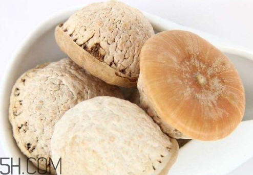 风流果泡酒作用(风流果泡酒的功效作用)