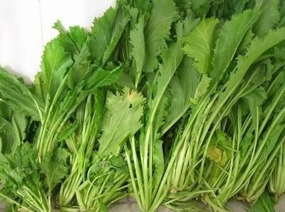 吃新鲜的雪里红会中毒吗(新鲜的雪里红有毒吗) 吃新鲜的雪里红会中毒吗(新鲜的雪里红有毒吗)