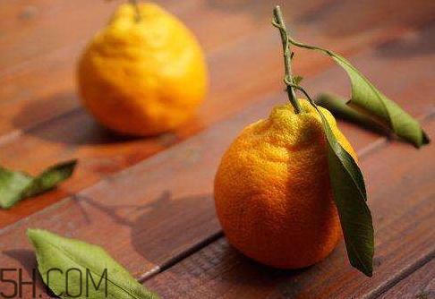 丑桔是什么水果(丑桔是什么水果是不是转基因)