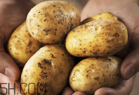 2018年土豆价格会怎么样(今年的土豆价格怎么样)