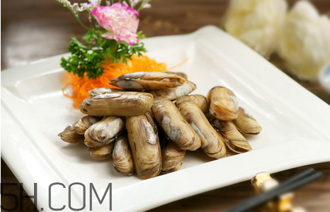 蛏子可以直接吃吗(蛏子可以直接吃吗) 蛏子可以直接吃吗(蛏子可以直接吃吗)