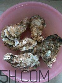 生蚝的做法大全家常菜(如何烹饪生蚝)
