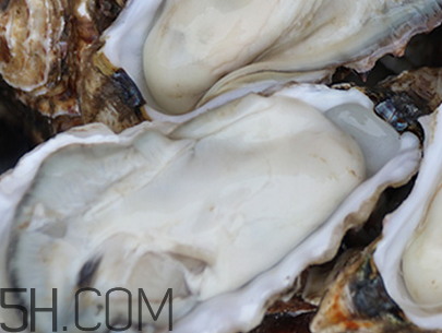 吃生蚝的功效和禁忌(生蚝的功效和禁忌) 吃生蚝的功效和禁忌(生蚝的功效和禁忌)