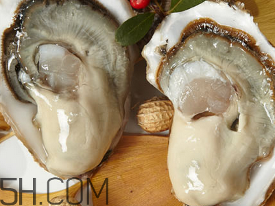 生蚝和鲍鱼的区别(海蛎子和生蚝有什么区别)