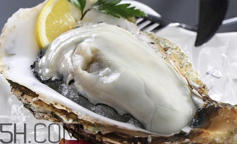生蚝怎么打开(生蚝怎么打开 最方便) 生蚝怎么打开(生蚝怎么打开 最方便)