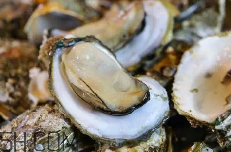 生蚝多少钱一斤(生蚝多少钱一斤市场价2021)