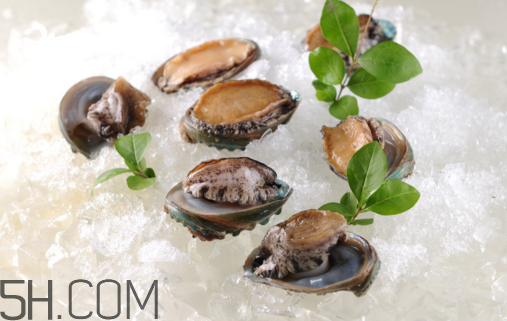 鲍鱼是寒性食物吗(鲍鱼是寒性食物吗)