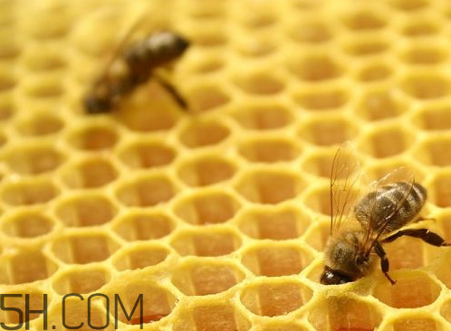 蜂胶怎么泡酒(蜂胶怎么泡酒才安全)