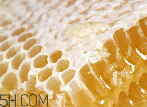 一斤蜂蜜一只蜜蜂要飞多远(一公斤蜂蜜蜜蜂要飞多少千米)