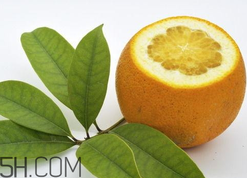 橙子哪里的好吃(橙子哪里的好吃更甜)