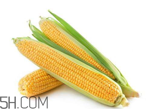 玉米的营养成分(玉米的营养成分含量表) 玉米的营养成分(玉米的营养成分含量表)
