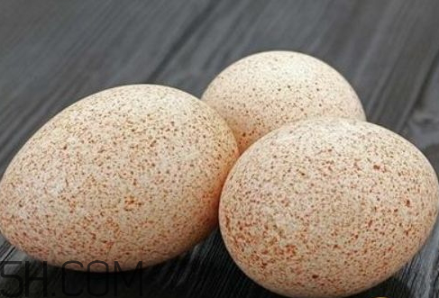 火鸡蛋和普通鸡蛋哪个好(火鸡蛋跟一般的鸡蛋有啥区别)