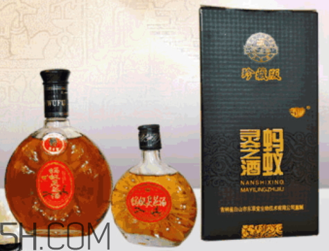 灵芝酒的功效(灵芝酒的功效和作用)