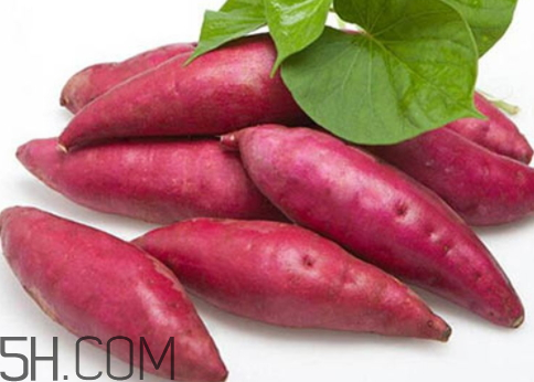 红薯淀粉是什么(红薯淀粉是什么粉)