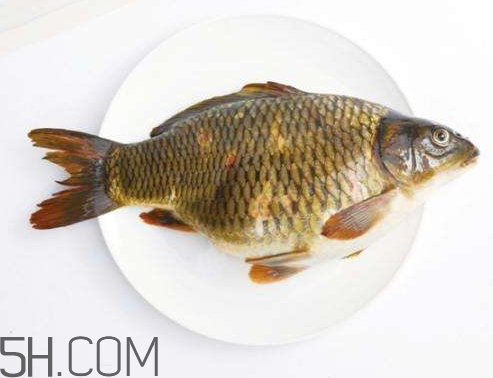 鲤鱼怎么保存(鲤鱼怎么保存才新鲜放在冰箱里)