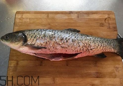 草鱼刚死还能吃吗(草鱼死多久就不能吃了) 草鱼刚死还能吃吗(草鱼死多久就不能吃了)