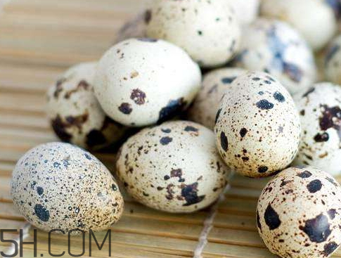鹌鹑蛋是凉性还是热性(鹌鹑蛋是凉性还是热性的)