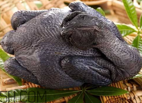 乌鸡是发物吗(乌鸡是发物吗?) 乌鸡是发物吗(乌鸡是发物吗?)