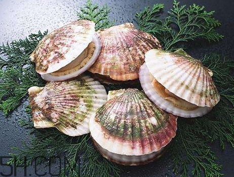 扇贝是酸性还是碱性(扇贝是酸性还是碱性食物)
