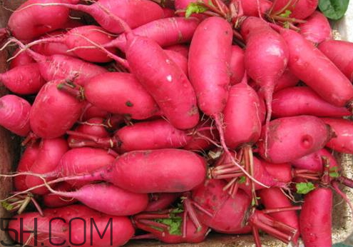 红萝卜的吃法二(红萝卜的多种吃法)