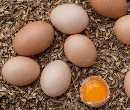 白薯的好处(常吃红薯的好处)