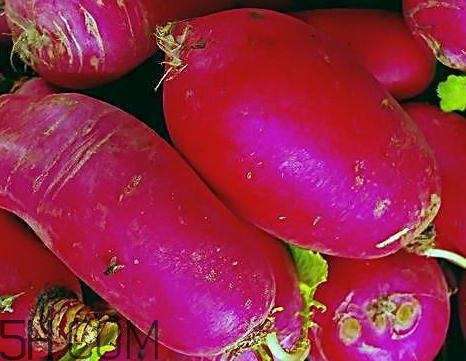 红萝卜的食用方法(红萝卜的食用方法)