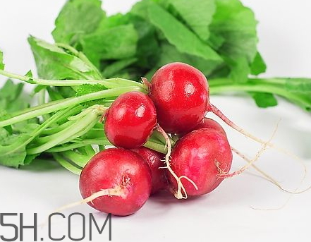 水萝卜的食用方法(水萝卜的食用方法)