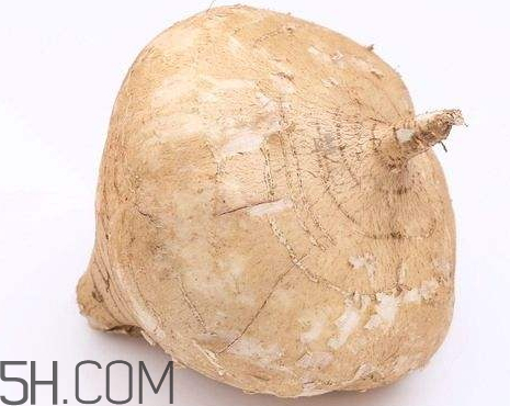 土瓜的营养价值(土瓜的营养价值及功效和作用)