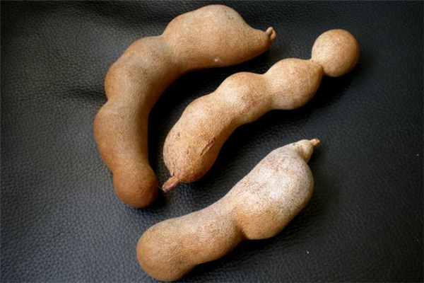 吃酸角要注意什么(吃酸角要注意什么)