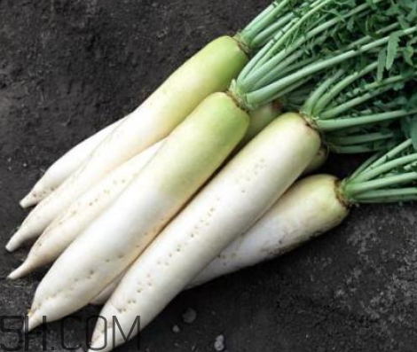 白萝卜辣怎么吃(白萝卜辣怎么吃)