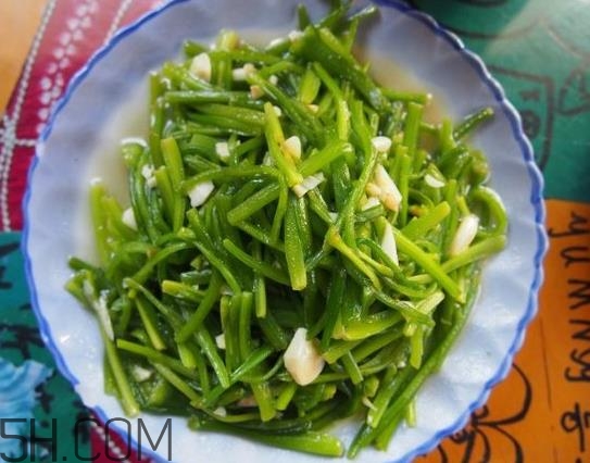 水性杨花菜名字由来(水性杨花是什么菜) 水性杨花菜名字由来(水性杨花是什么菜)