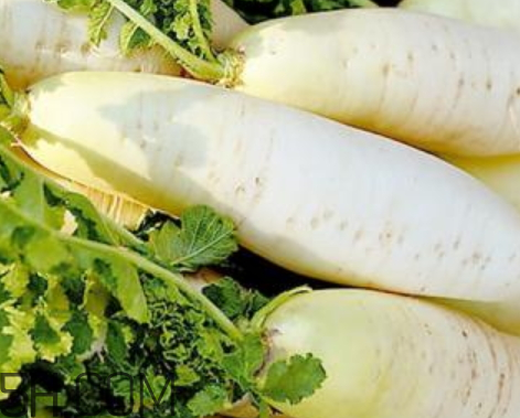 萝卜怎么去除苦味(炒白萝卜怎么去除苦味)