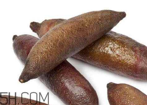 指橙怎么吃(鱼子指橙怎么吃)