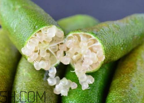 指橙是哪里的水果(指橙是哪里的水果)