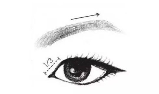 眼影中的常见成分有哪些(眼影成分都有些什么)