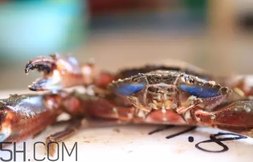 蒸海虹蟹好吃吗(海虹蟹蒸多长时间熟)