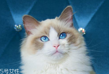 美瞳怎么减少危害(美瞳的危害)