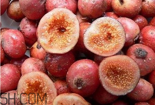 牛奶果的功效和作用(牛奶果的功效和作用)