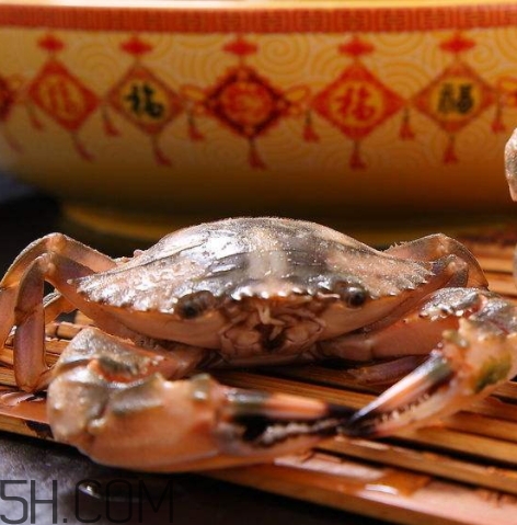 花盖蟹什么时候最肥(花盖蟹什么时候最肥)