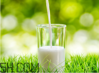 牛奶什么牌子的好(最好的牛奶是什么牌子)