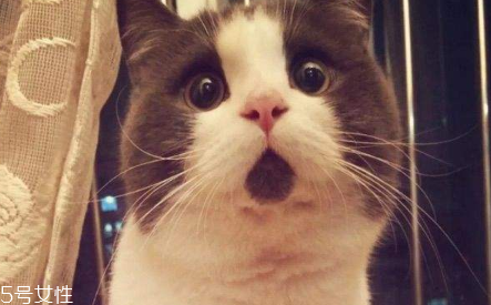 美瞳含水量介绍(美瞳含水量多少)